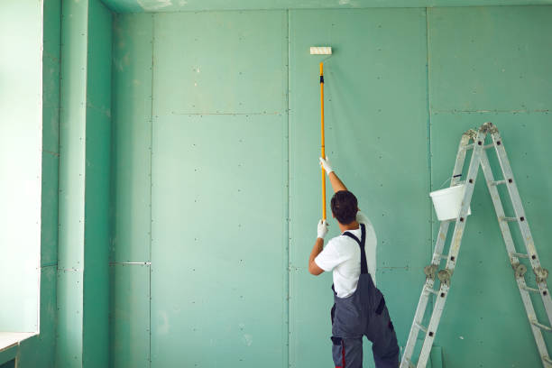 Best Eco-Friendly and Low-VOC Painting  in USA